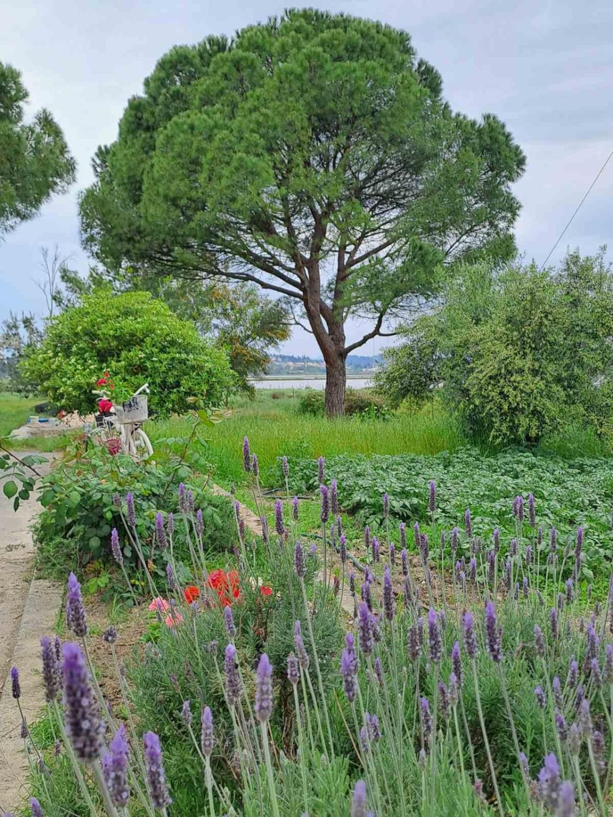 Corfu Lakeside Cottage Κανόνι Εξωτερικό φωτογραφία